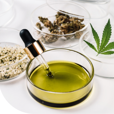 canabis oil canabis oil